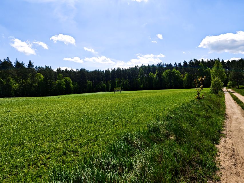 Działka budowlana Dźwierzuty