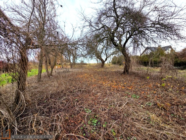 Pusta działka Cianowice