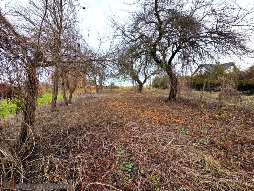 Pusta działka Cianowice