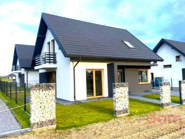 Dom Brzeziny sprzedaż