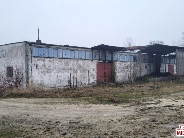 Budynek użytkowy Lubraniec