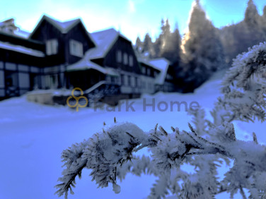 Lokal Duszniki-Zdrój