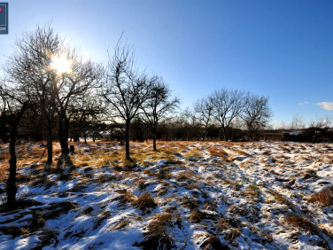 Działka budowlana Cianowice