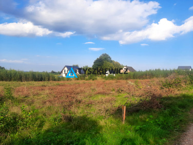 Działka przy lesie