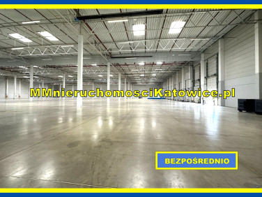 Budynek użytkowy Piotrków Trybunalski