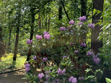 Działka budowlana Zalesie Górne