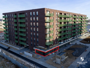 Lokal Kraków wynajem