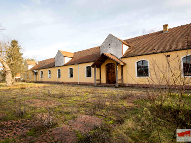 Mieszkanie Świętoszów