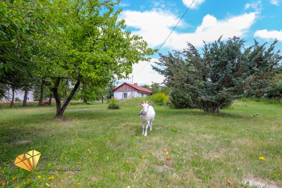 Działka budowlana Stara Wieś