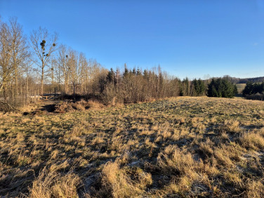 Działka budowlana Zerbuń