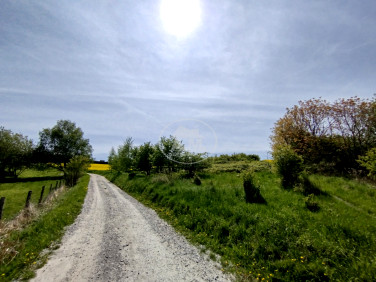 Działka budowlana Trzebnica