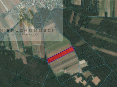 Działka rolna Miłoradzice