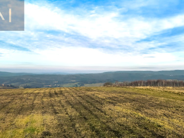 Działka budowlana Gogołów