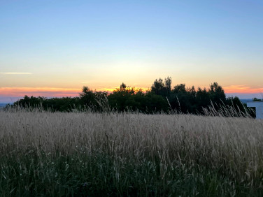 Działka budowlana Tyczyn