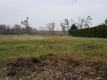 Działka rolna Sulnówko