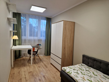 Pokój Jelenia Góra