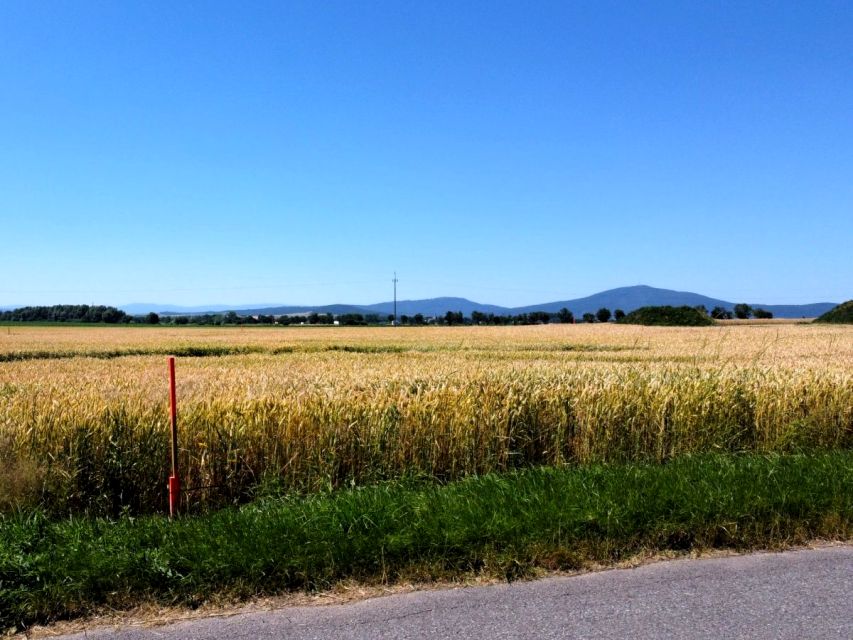 Działka budowlana Pustków Wilczkowski