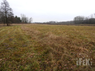 Działka budowlano-rolna Nowy Łajszczew