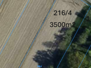 Działka Drużbice-Kolonia