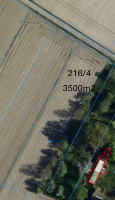 Działka Drużbice-Kolonia