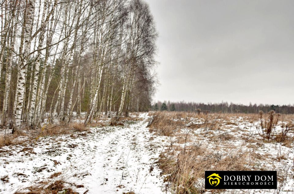 Działka budowlana Kruszyniany