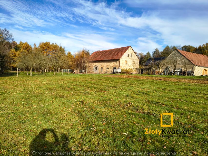 Dom Lwówek Śląski