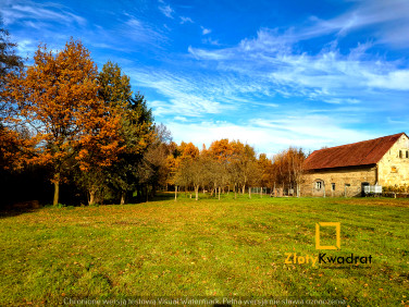 Dom Lwówek Śląski