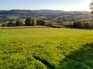 Działka budowlano-rolna Bochnia