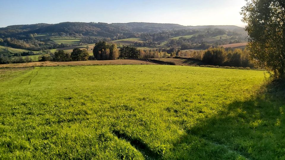 Działka budowlano-rolna Bochnia