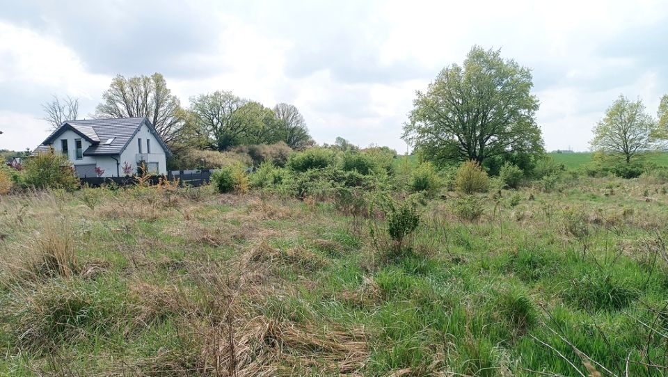 Działka budowlana Bezrzecze