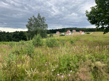 Działka budowlana Świebodzice