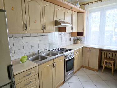 Mieszkanie Toruń sprzedaż