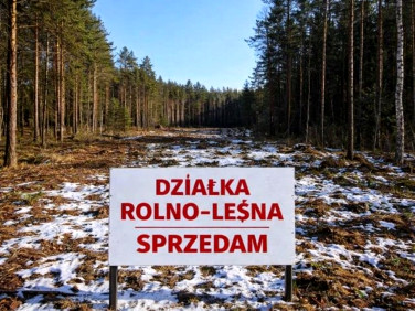 Działka leśna Skaryszew