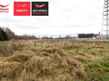 Działka inna Przemysław