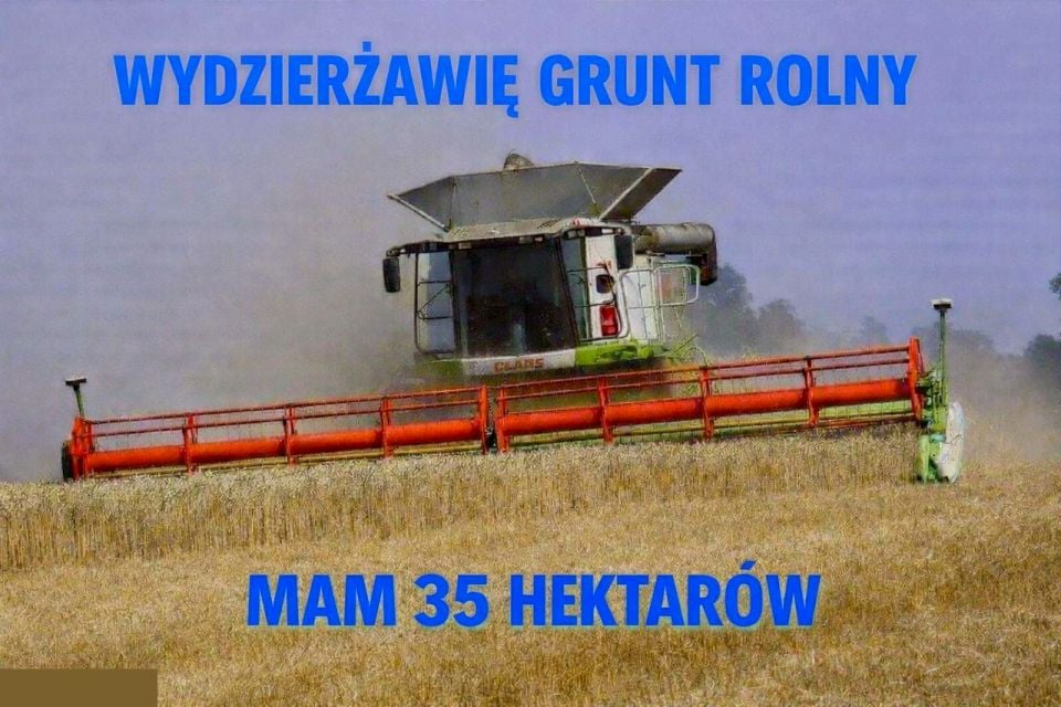 Działka rolna Pniów