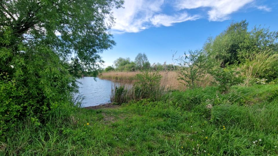 Działka rekreacyjna Nowa Wieś Mała