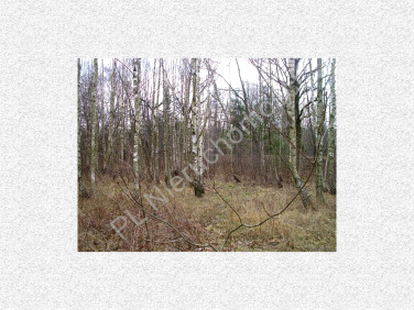 Działka budowlana Janinów