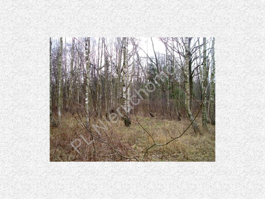 Działka budowlana Janinów