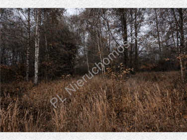 Działka budowlana Jastrzębnik