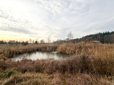 Działka rolna Turka