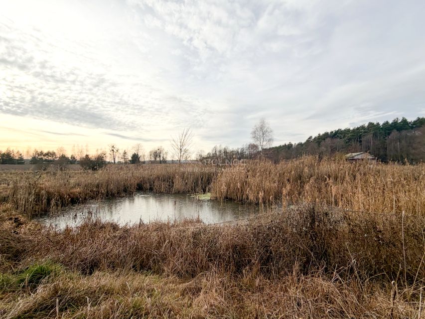Działka rolna Turka