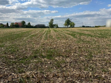 Działka Wisła Wielka