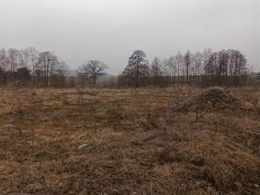 Działka inwestycyjna Żory sprzedam