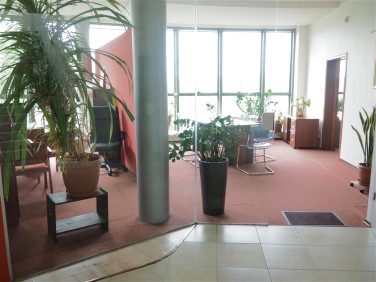 Lokal Pruszcz Gdański