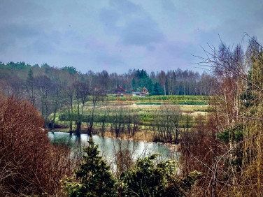 Działka rekreacyjna Czapielsk