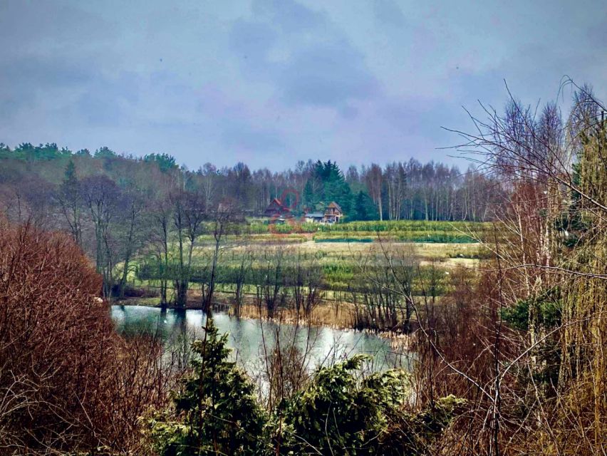 Działka rekreacyjna Czapielsk