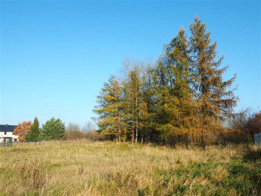 Działka budowlana Sobowidz