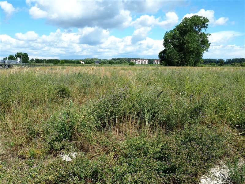 Działka inna Cieplewo