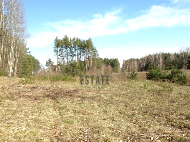 Działka inwestycyjna Sochonie