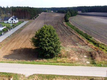 Działka rolna Zarośle Cienkie